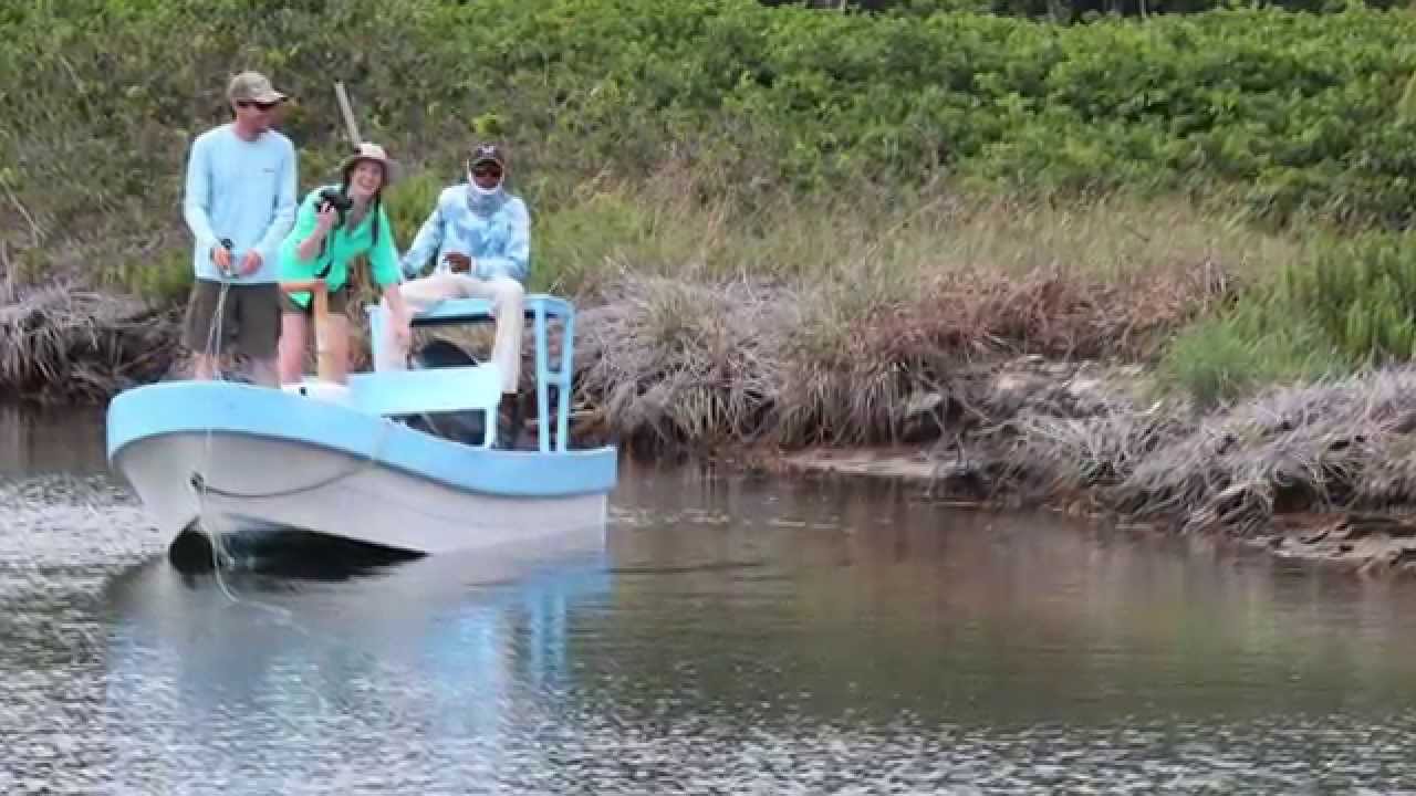 Guanaja 2.0