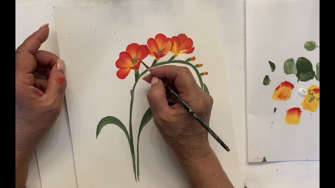 Freesia