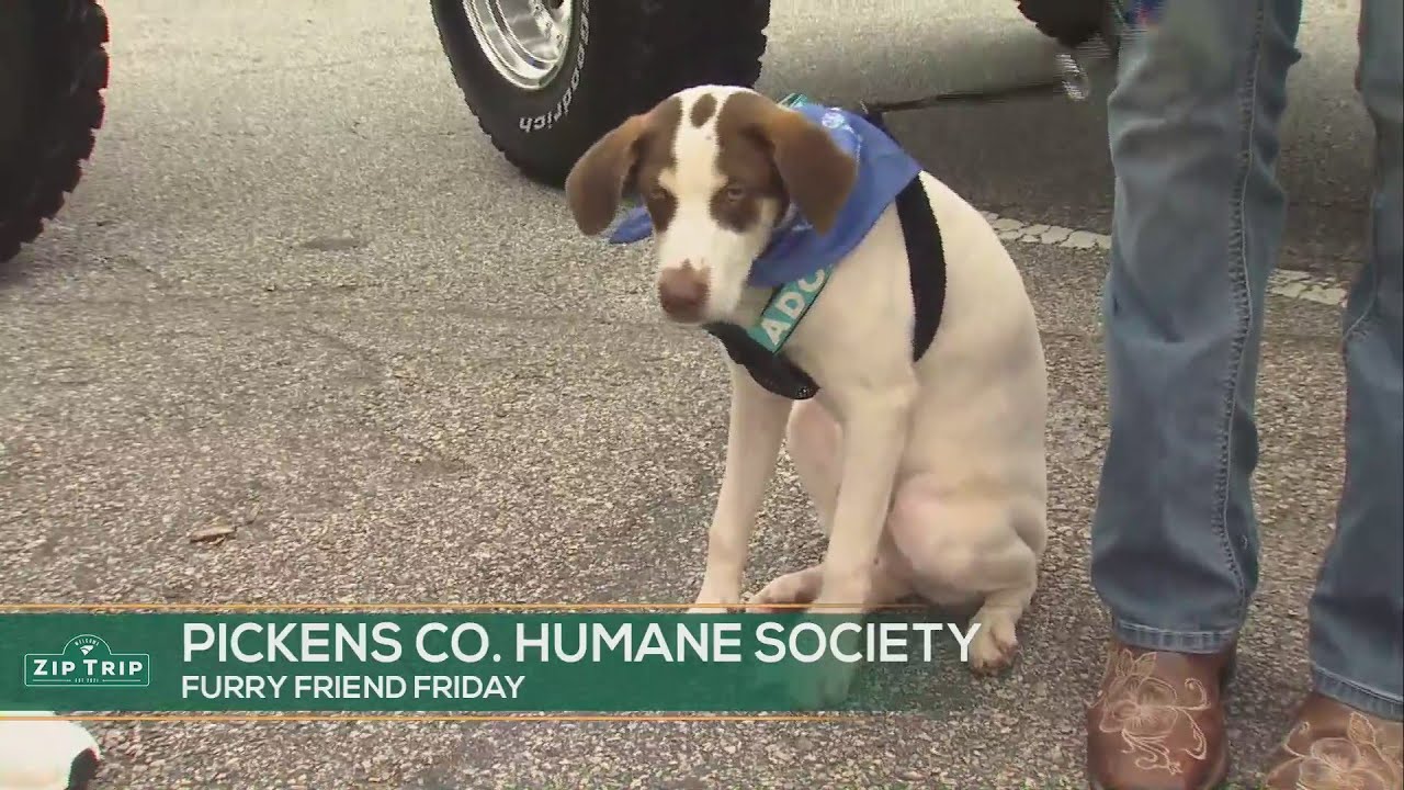 Zip Trip - Pickens County Humane Society