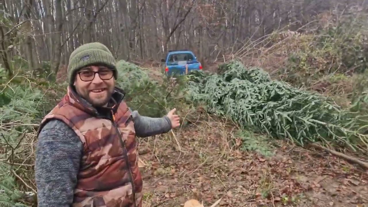 Am luat un brad GIGANTIC pentru Căsuța din Padure !!