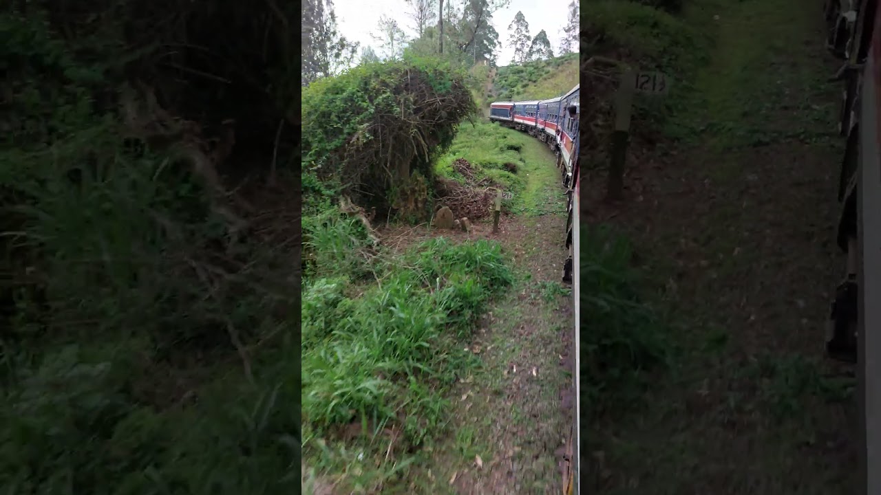 Train Ride Joy #subscribe #viral #trending #shortsvideo #india #srilanka #reels #travel