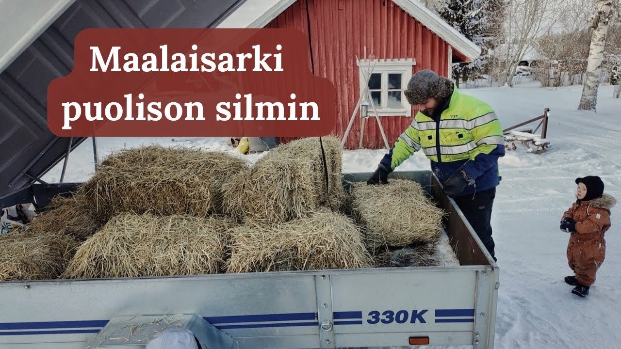 Elämää maalla | Päivä puolison kuvaamana 🏡🌾