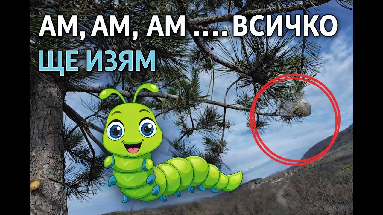 Токсични Гъсеници - Пазете се!!