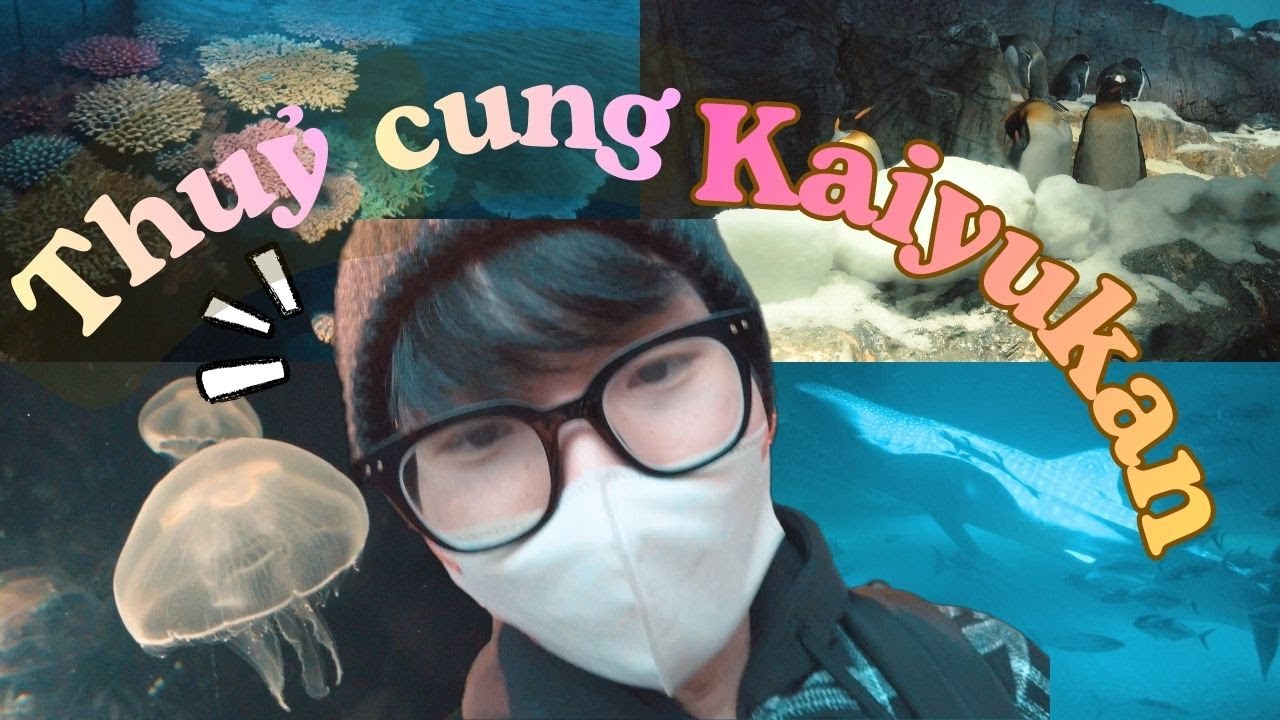 🇯🇵du học sinh đi Osaka Aquarium Kaiyukan 🐋 | Thủy Cung Lớn Nhất Nhật Bản Có Cá Mập Voi