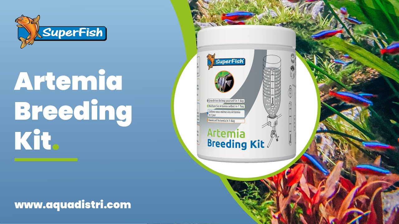 SuperFish | Artemia Breeding Kit