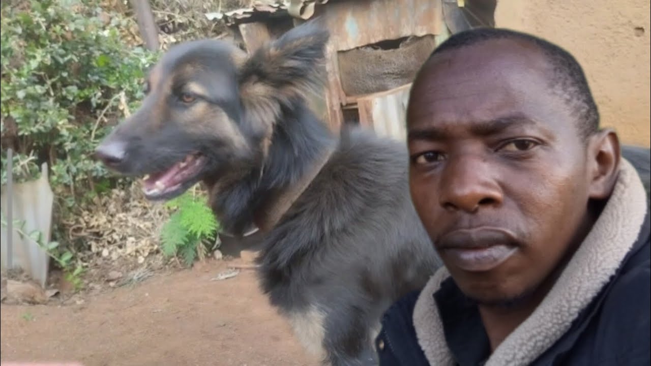 Finally things are good in the village @iammarwa @nashonone @Fathelatv @Doglovergod 