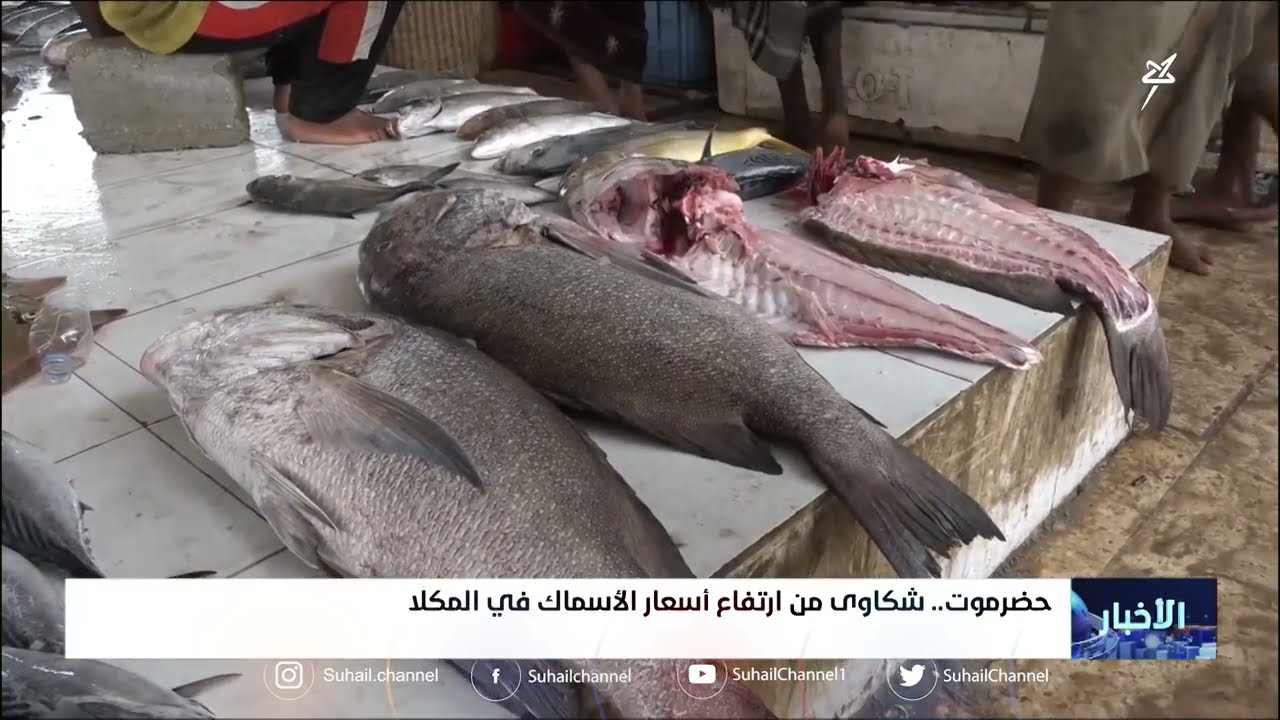 شكاوى من ارتفاع أسعار الأسماك في المكلا