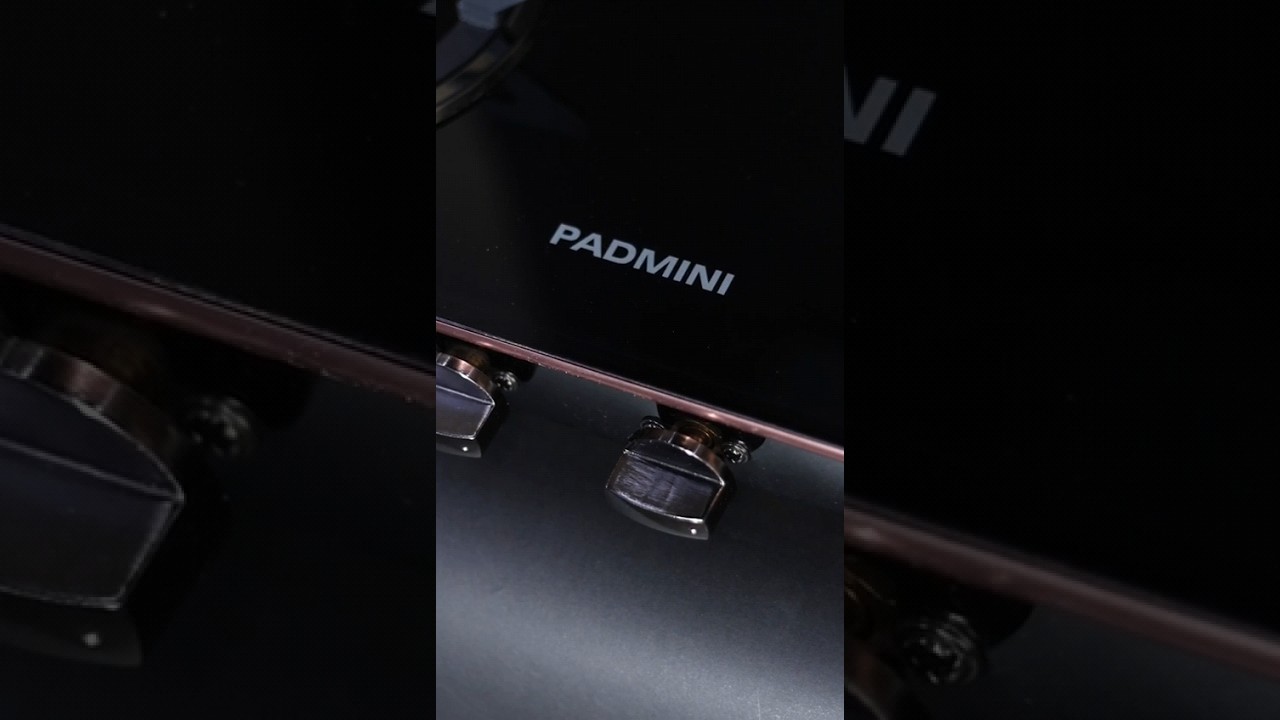 Padmini Rose Gold new model cooktop preview