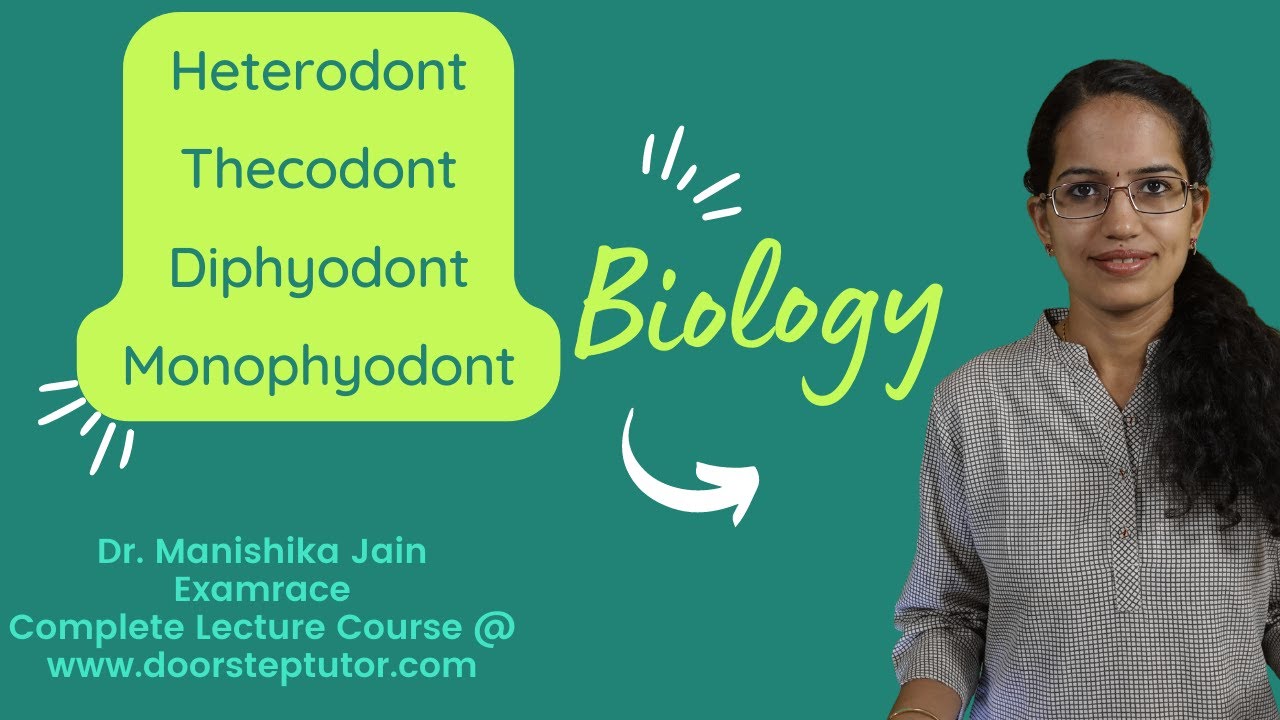 Heterodont, Thecodont, Diphyodont, Monophyodont: Dentition in Humans | Teeth | NEET