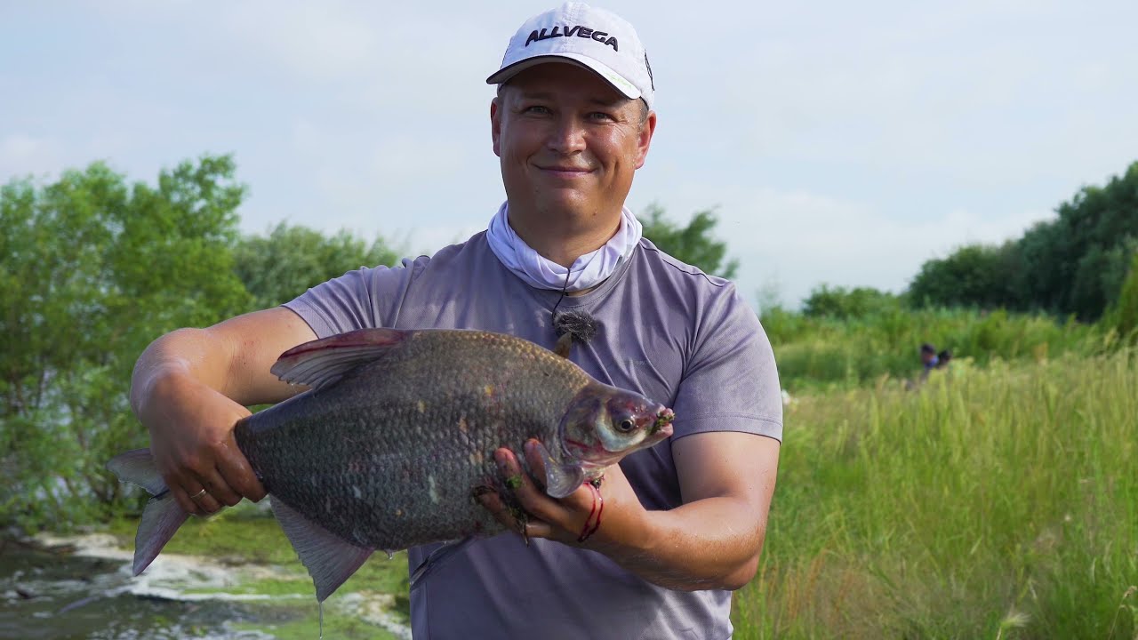 Рыбалка на Амуре. Фидерная ловля на сильном течении