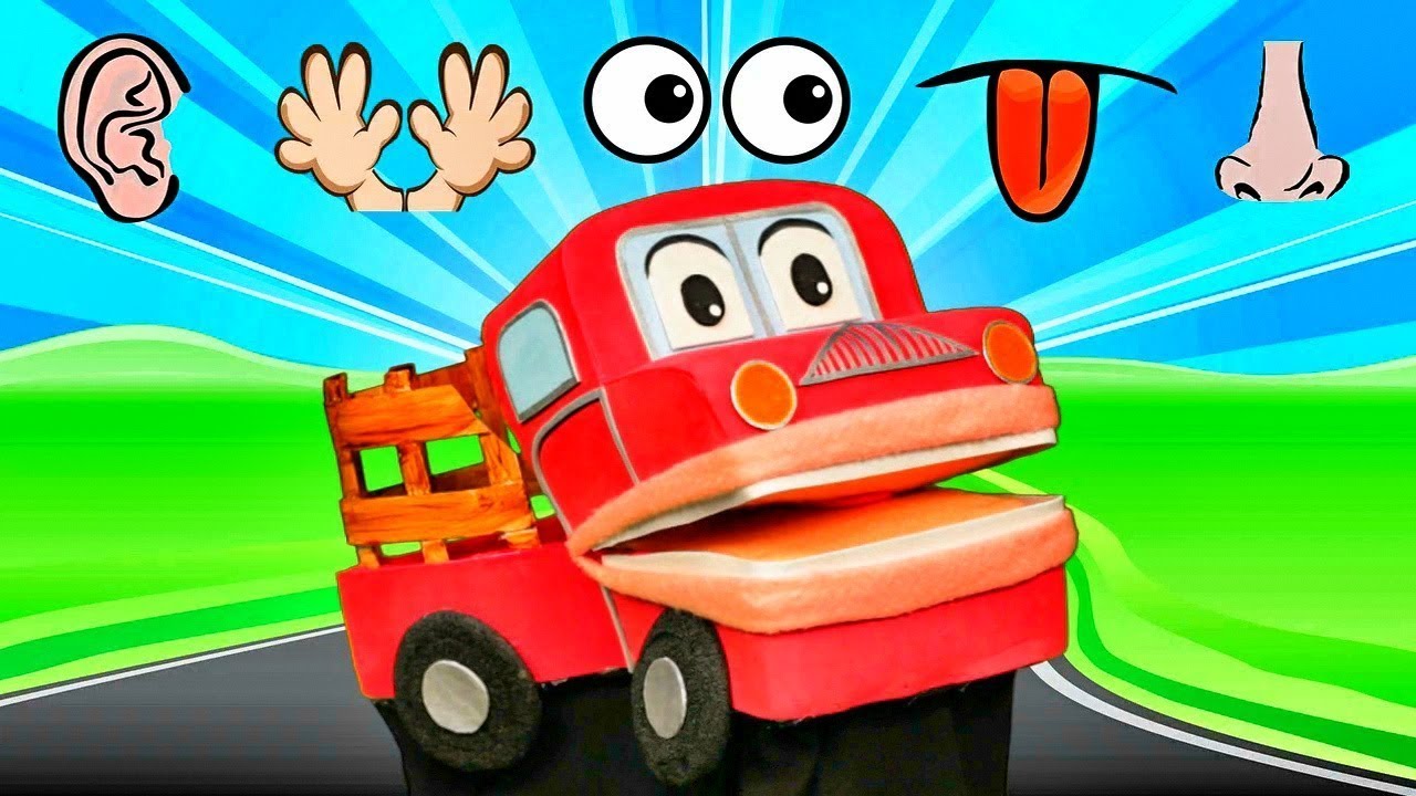 Los Cinco Sentidos  | Barney El Camión  | Canciones Infantiles  | Videos Educativos