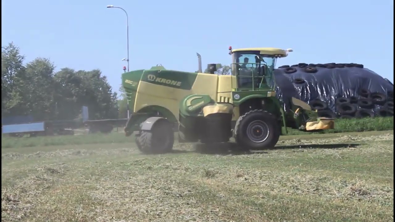 Nov&yacute; Krone Big M 450 seče sen&aacute;žn&iacute; oves s jetelem