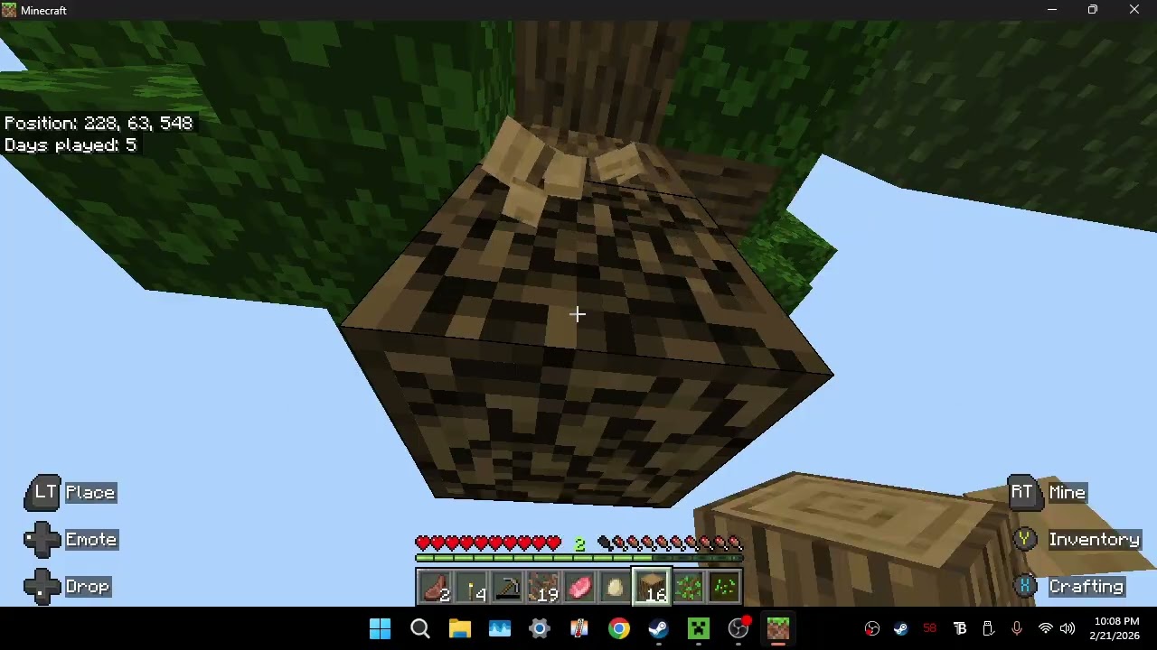 2026-02-21 Minecraft Pt.3 My Strange Animal Nowww