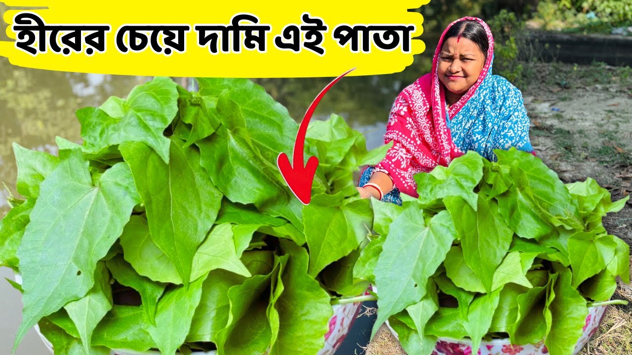 এই পাতায় দুটো জিনিস মেশালে চুল খুশকি মুক্ত চুল বাড়বে / Dandruff-free hair
