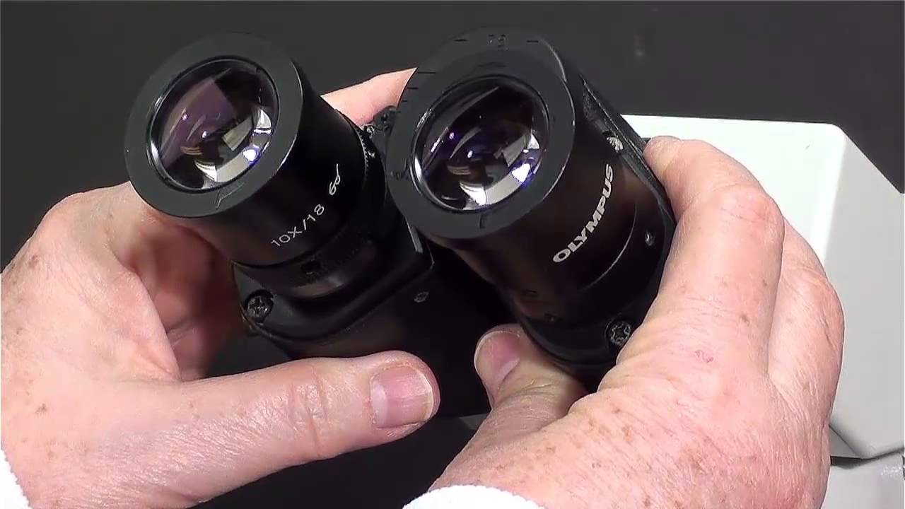 Ocular Lens Focusing Technique