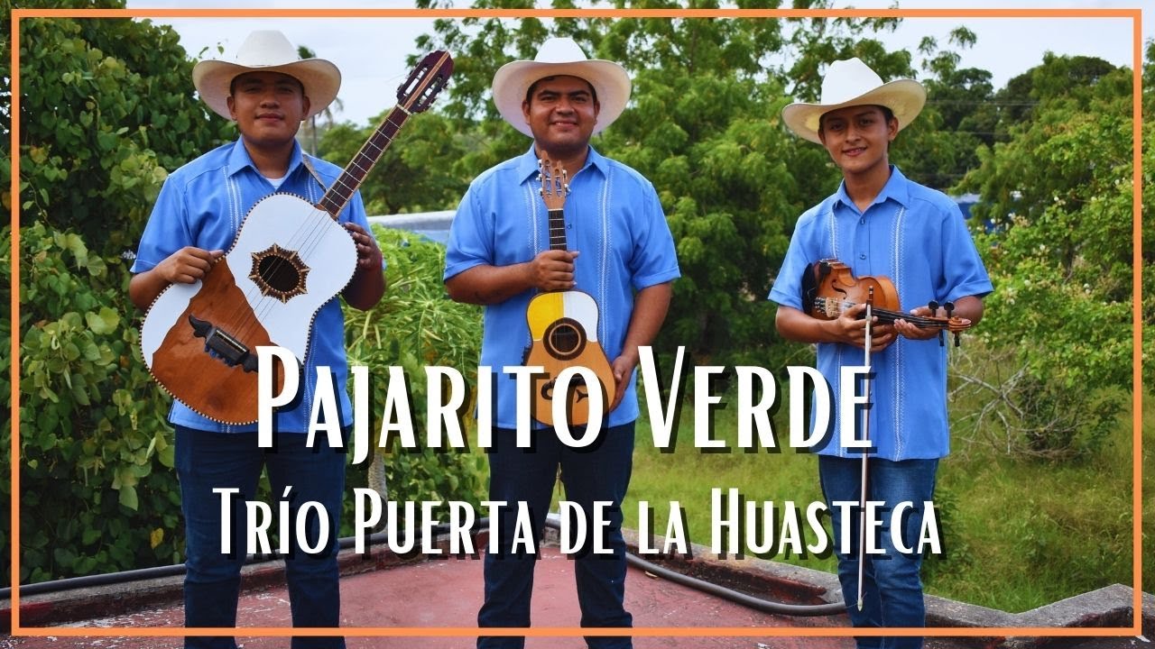 Trío Puerta de la Huasteca - El Pajarito Verde (Son Xantolero)