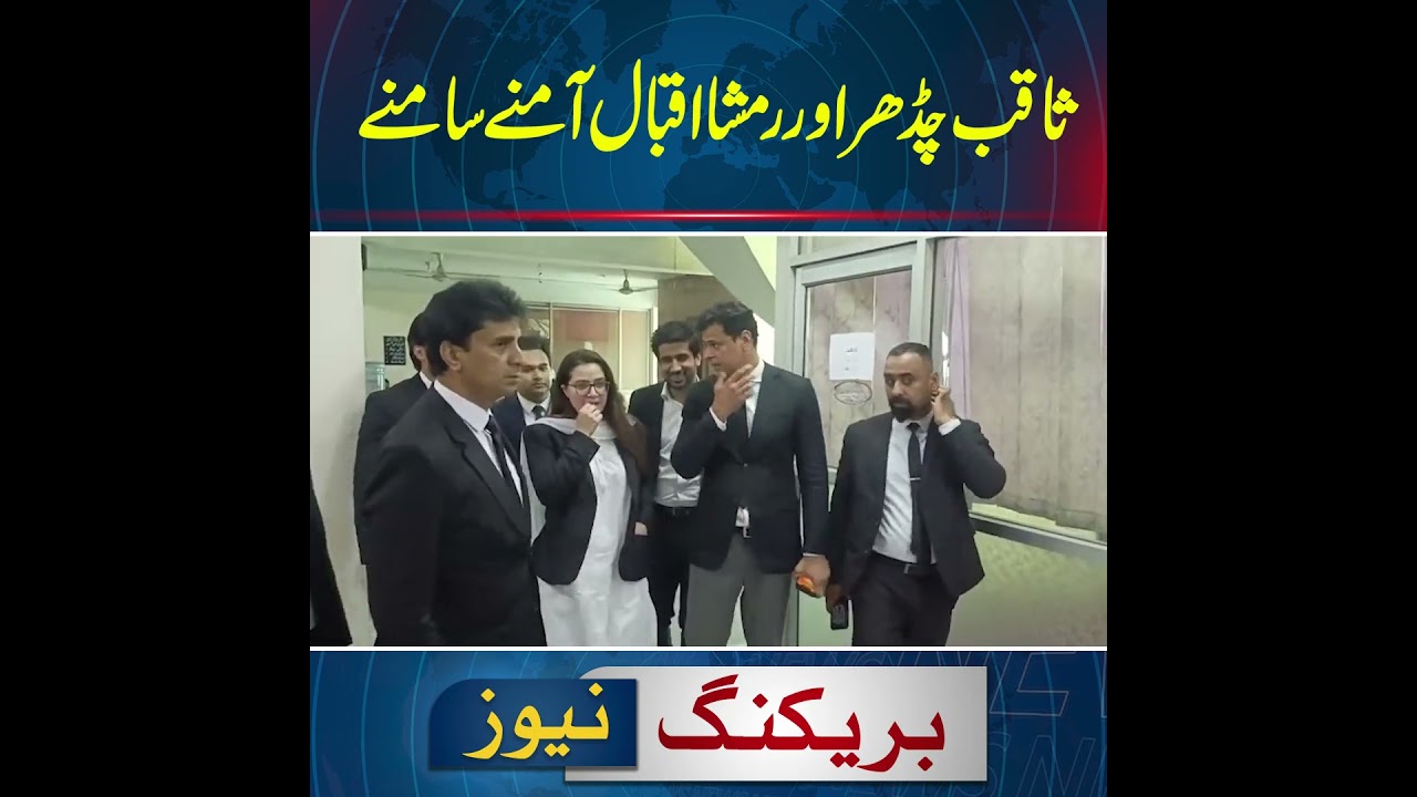 Saqib Chadhar and Rimsha Iqbal face to face | Breaking News | News One