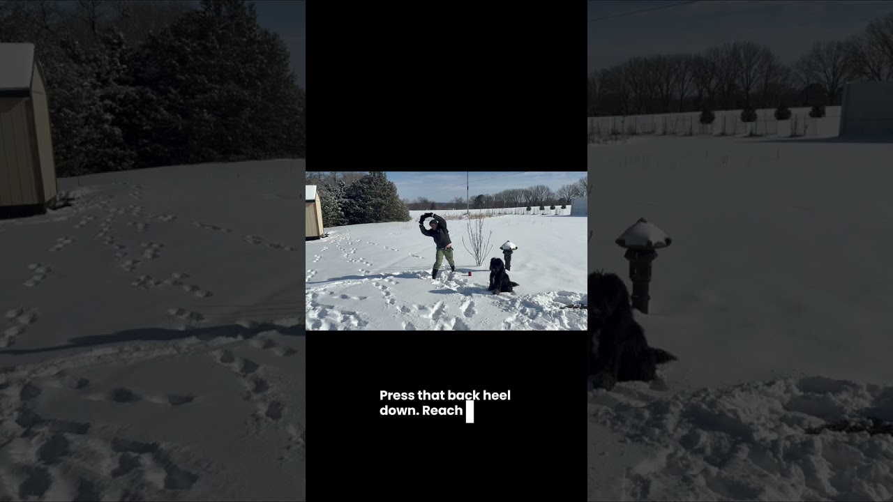 Snow Day QiGong 2026