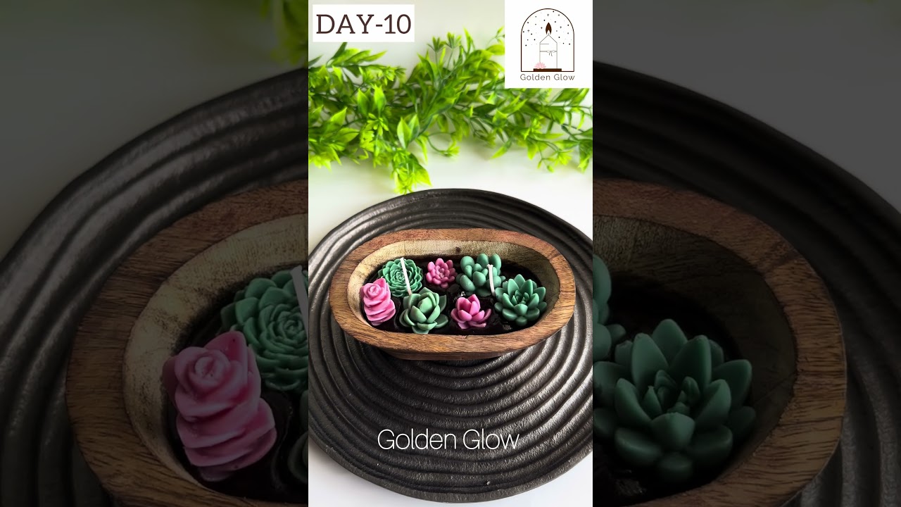 DAY-10 “wooden bowl succulent Candle”✨❤️🧿 
