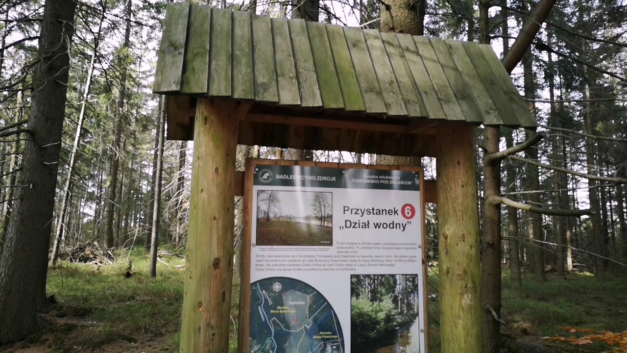 Torfowisko pod Zieleńcem