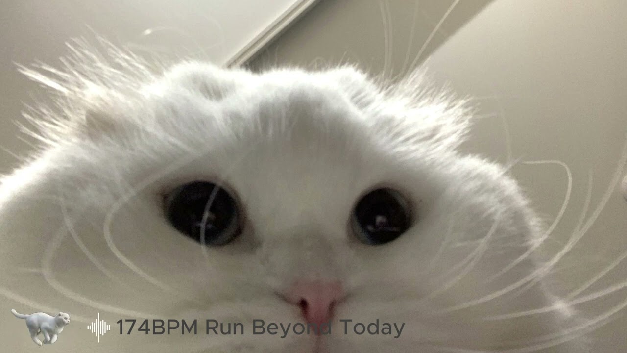174BPM Run Beyond Today (remix)