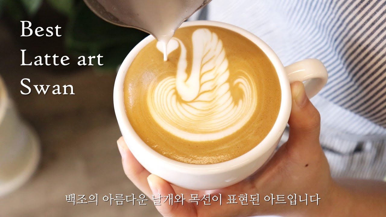 (eng) 꿀팁 | 백조 패턴 라떼아트 3가지! 기본부터 응용까지~ latte art 3 designs swan | cafe Vlog