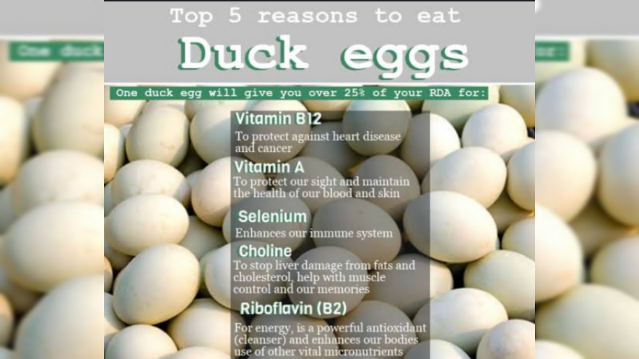 Top 5 reasons to eat duck eggs || what are the benefits of duck eggs || Duck eggs nutrition