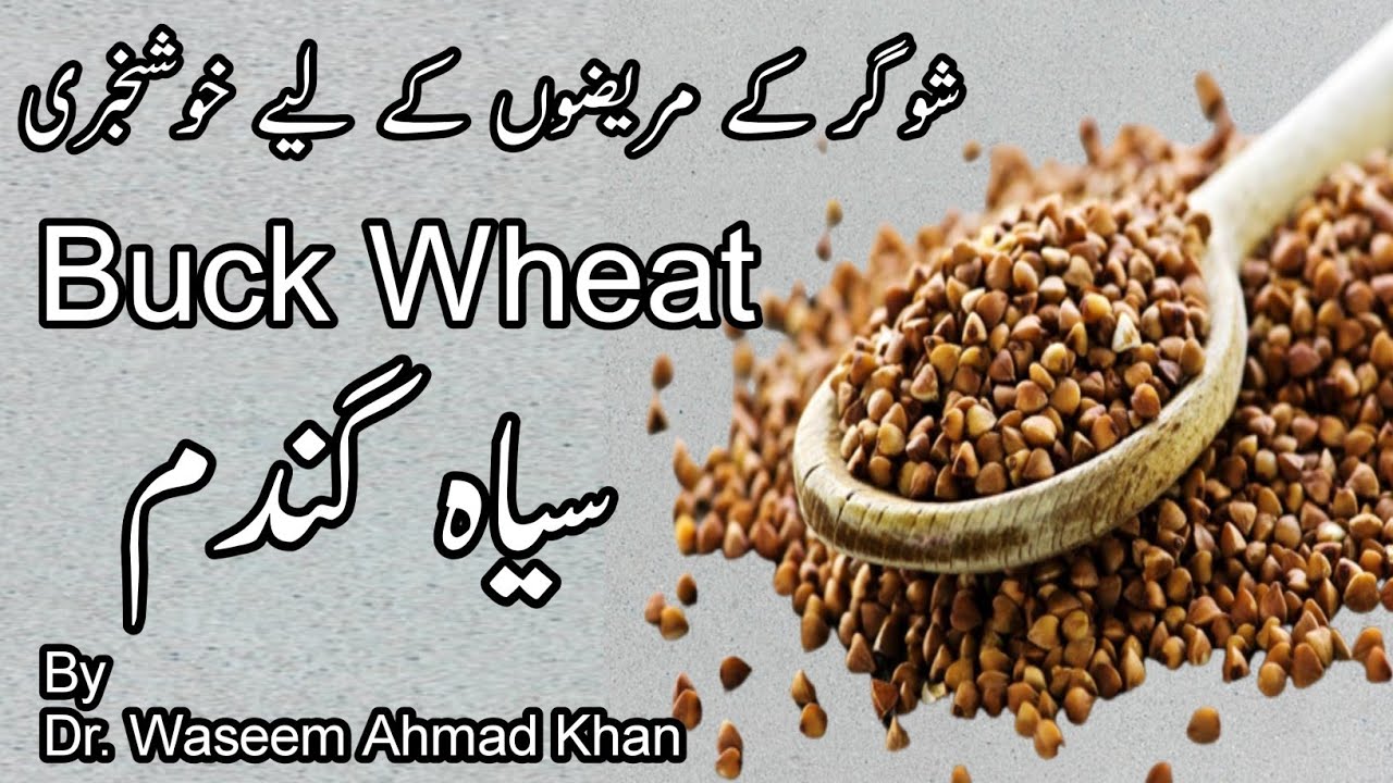What is Buck Wheat | Best Alternative to Wheat | Good News for Celiac And Sugar Patients