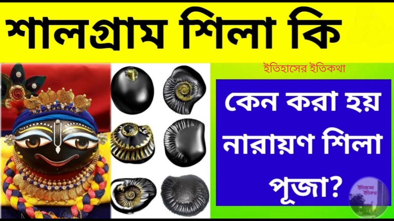 নারায়ণ শিলা কি চেনার উপায় | হিন্দুরা শালগ্রাম শিলা কেন পূজা করে Narayan Shila Shaligram Stone Puja
