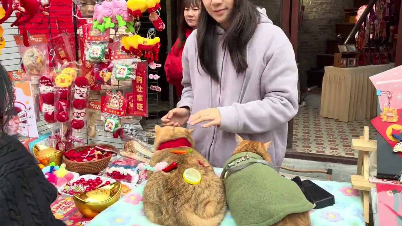【4K｜城市片刻 #168】佛山“揮春一條街”——筷子路，早年間製作和銷售筷子的手工作坊而得名。但它如今最出名的身份是**“揮春街”**每逢臨近春節老書法家們會在此擺攤，現場揮毫潑墨，書寫對聯（揮春）