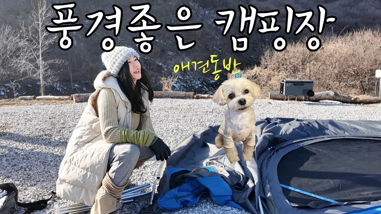 까다로운 ISFJ 캠퍼가 추천하는 애견동반 캠핑장 (&ldquo;진짜&rdquo; 만번 주위ㅎ)🐶 제천 라라랜드캠핑장 | REAL Solo Camping , Pet-friendly sites 