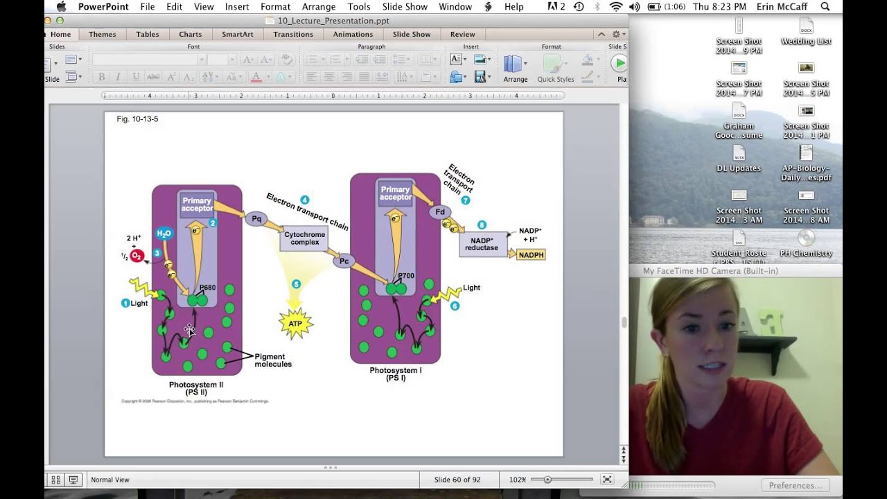 Cyclic & Noncyclic Electron Flow