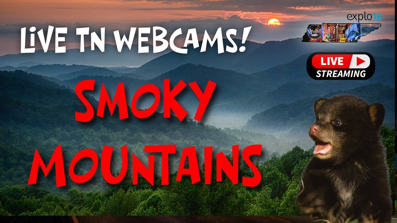 LIVE Webcams in the Smokies! - Explore Tennessee