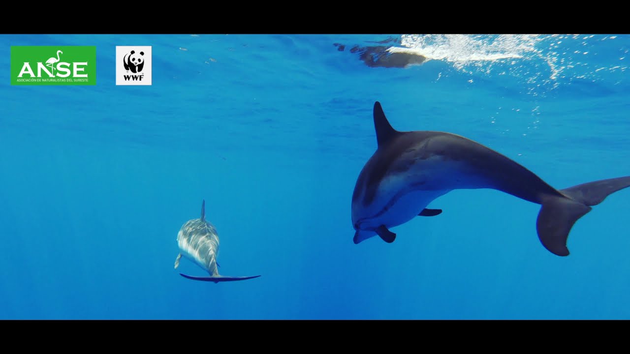 Avance documental Cabo Cope y su entorno