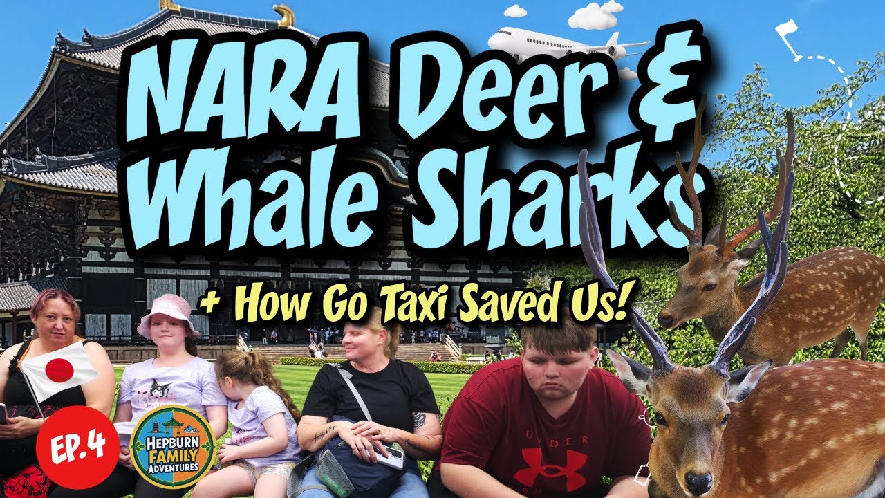 Nara Deer 🦌, Whale Sharks 🐋 & How Go Taxi Saved Us | 14 Days in Japan with Kids (Ep.4)