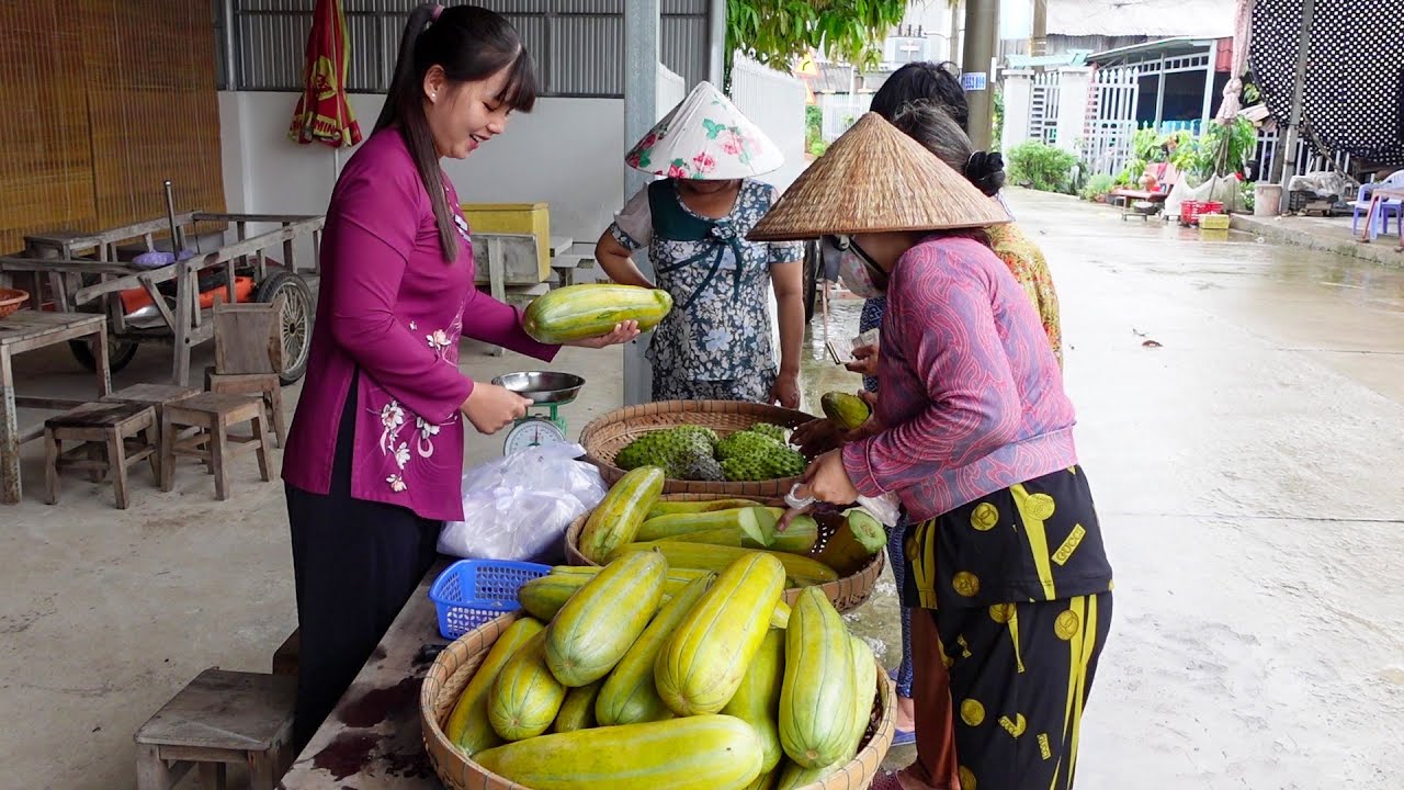 Ngày Mưa Phụ Mẹ Chồng Hái Dưa Gang và Mãng Cầu Gai đem bán được Bà Con Ủng Hộ | HQ #1318