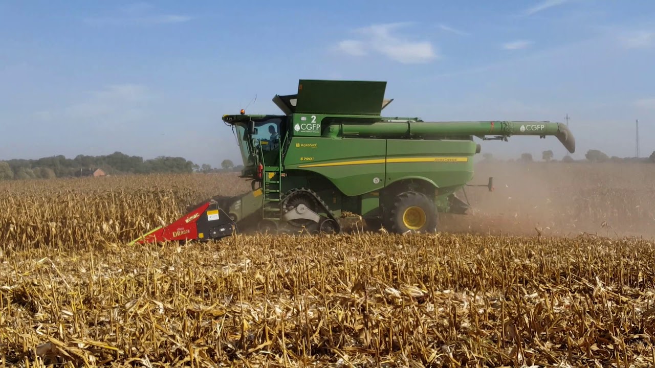 Wielkie Żniwa Kukurydziane 2018 w CGFP Wojnowo cz 1/2