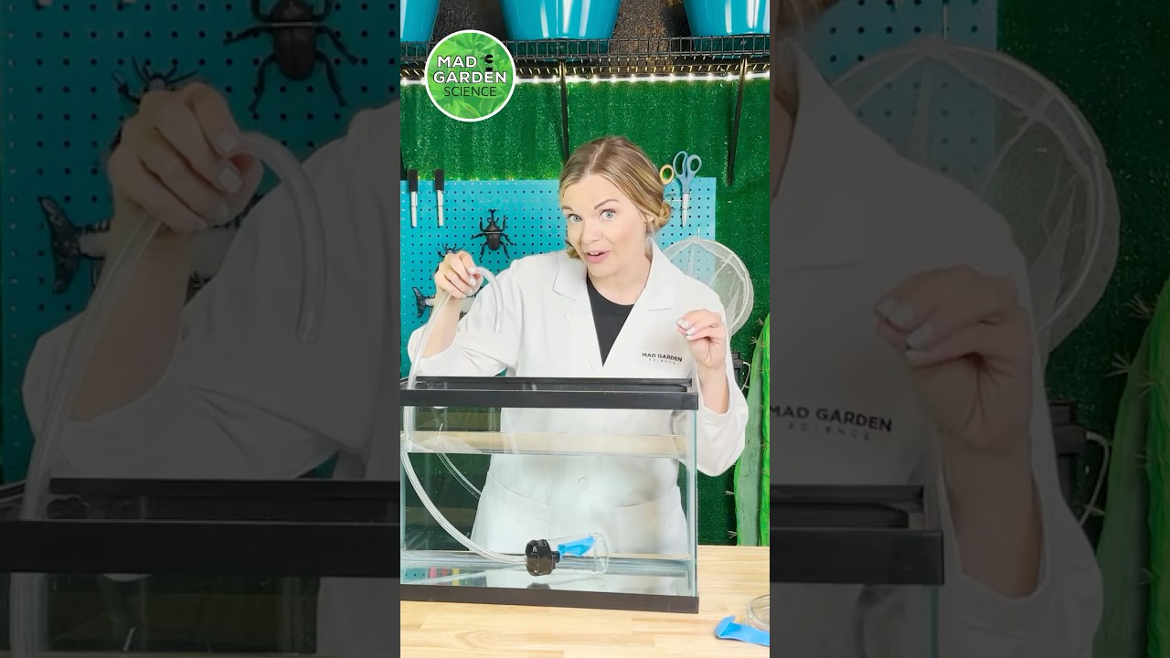 Swim Bladder Science Demo 🐟 #stem  #buoyancy