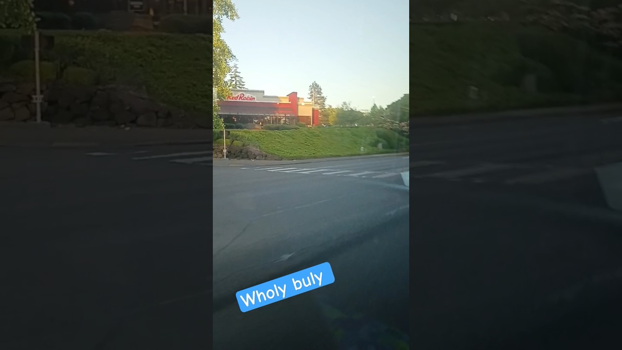 #wholtbuly #vintagemusic #funny  #tequilandtacos