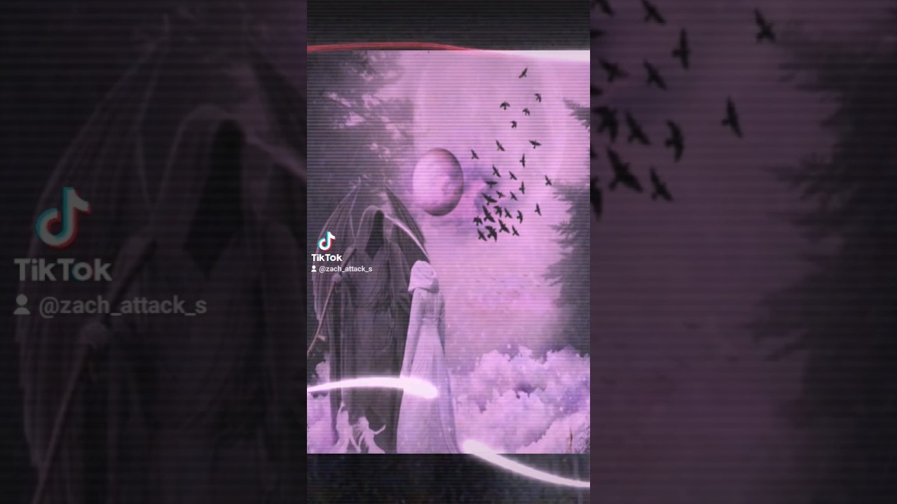 Zach Attack - A Reapers Paridise