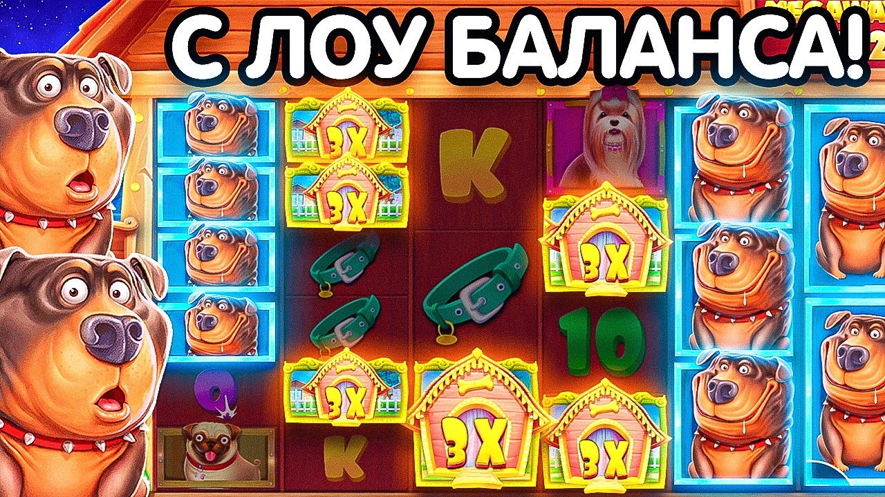 СОБАКИ МЕГАВЕЙС С ЛОУ БАЛАНСА! БОДРАЯ СЕССИЯ ВЫШЛА!