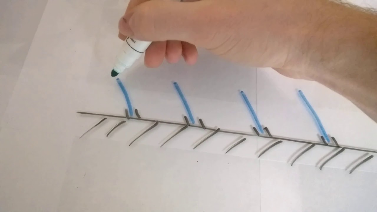 Vibrační a šnekové dopravníky SPS