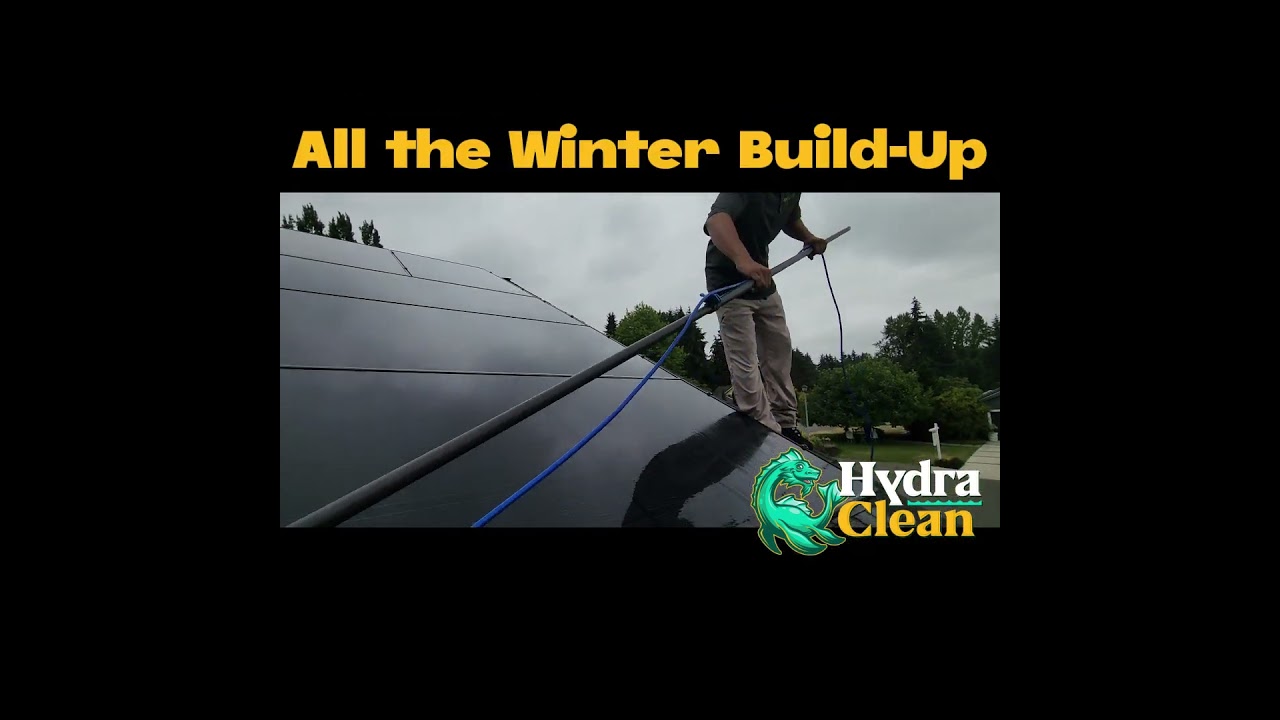 Roof Cleaning Bellevue