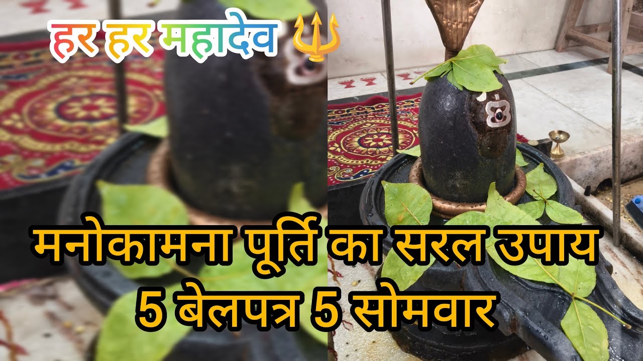🔱मनोकामना पूर्ति का सरल उपाय: 5 बेलपत्र और 5 सोमवार का चमत्कार 🙏 हर हर महादेव 