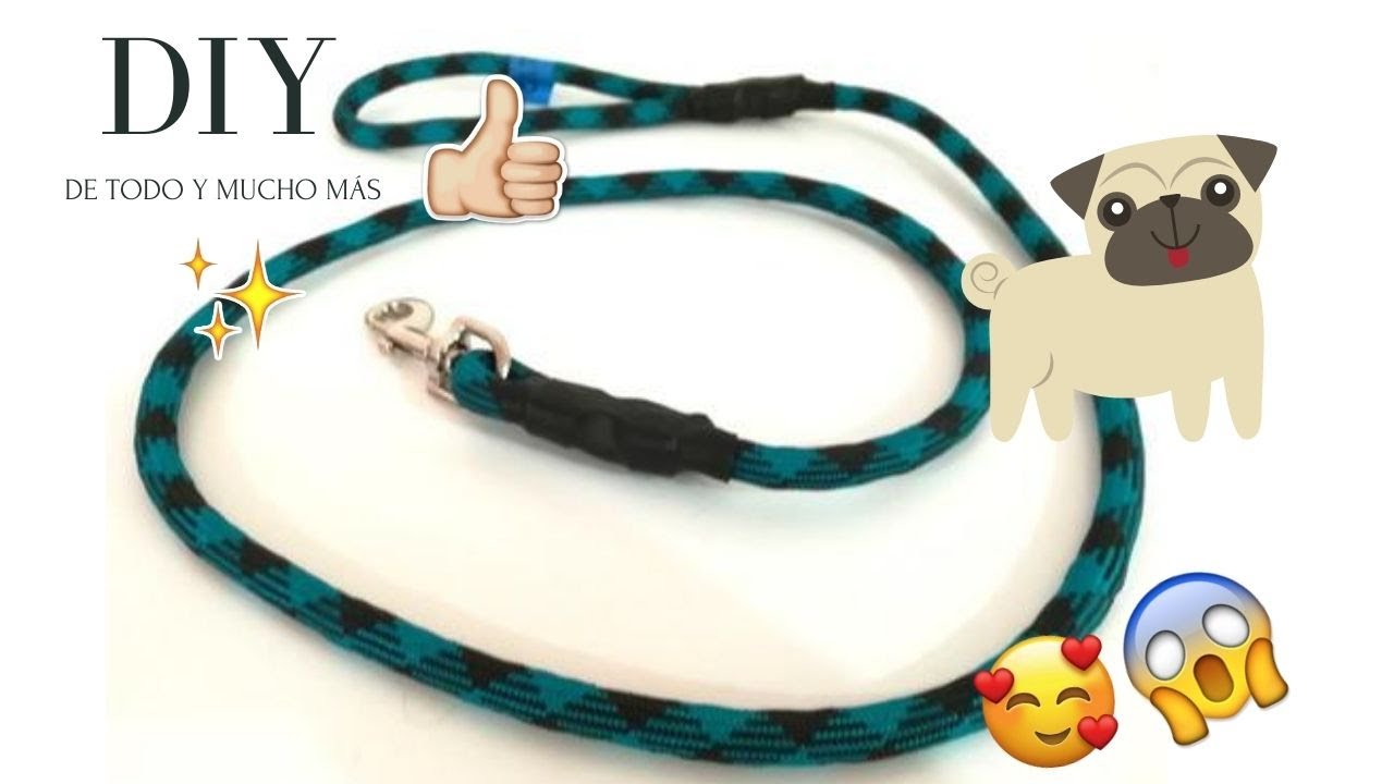 HAZ UNA CORREA CASERA PARA TU PERRO