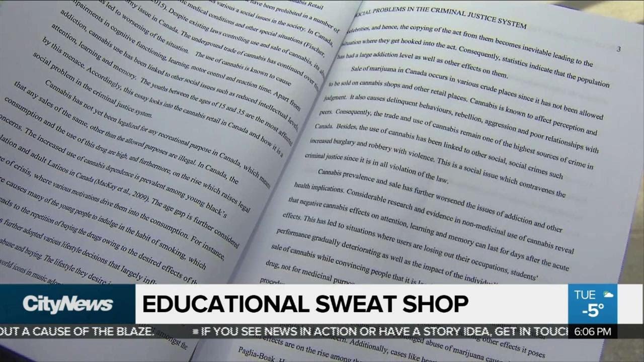 Exclusive investigation: 'contract cheating'