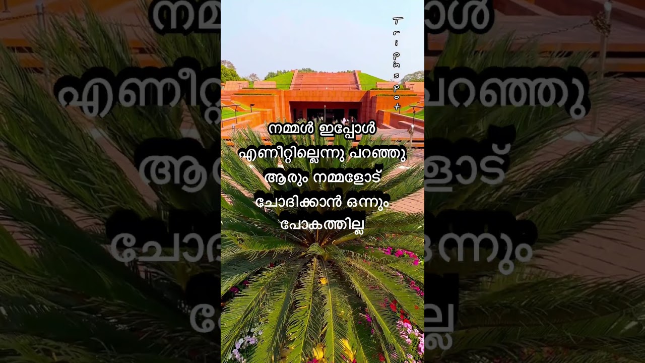 ഒറ്റക്ക് ജീവിക്കുമ്പോൾ ഉള്ള സുഖം എന്താണ് എന്ന് അറിയുമോ? #motivation #malayalam #shortsfeed #shorts