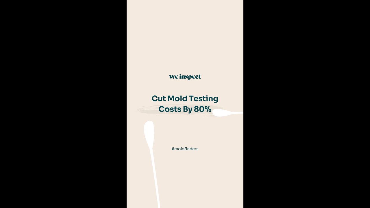 Cut mold testing costs by 80%