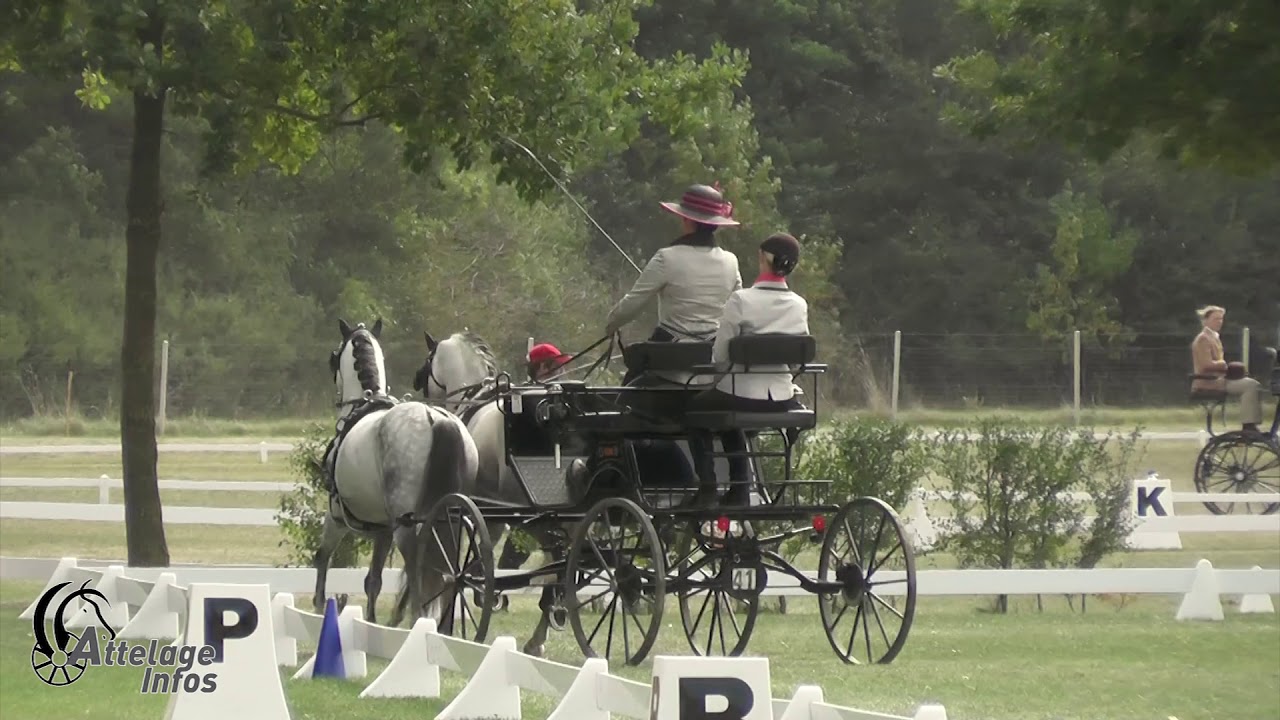 Simone HOLZINGER   Aut   Dressage   FEI DPWC KISBER 2019