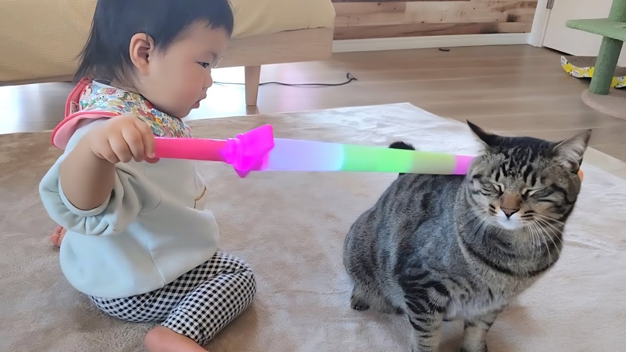1歳児の遊びに何でも付き合ってくれる猫が優しすぎました。